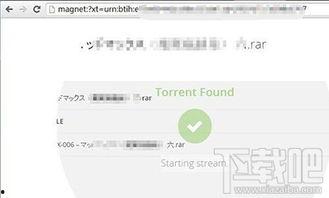 外国无码种子迅雷下载,高效便捷的下载体验