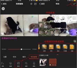 三有视频,探索生活之美，传递正能量