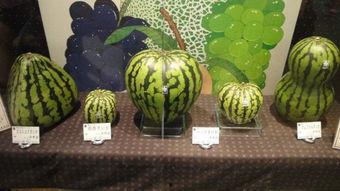 日本三级西瓜免费,揭秘高端水果的奢华魅力